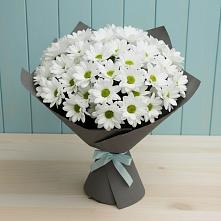 Букет цветов из:  Хризантемы #REPLACE_PRED# Омутинское