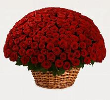 Премиум букет из: Розы #REPLACE_PRED# Омутинское